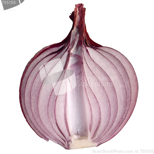 Image of Onion