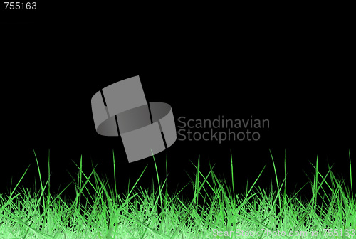 Image of Meadow