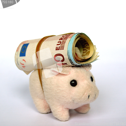 Image of Pig with money