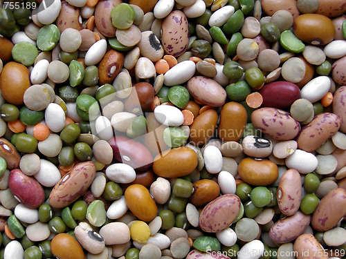 Image of Beans