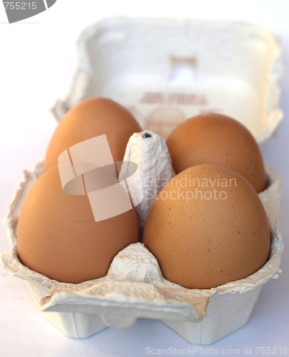 Image of Eggs