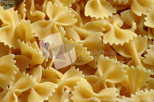 Image of Pasta