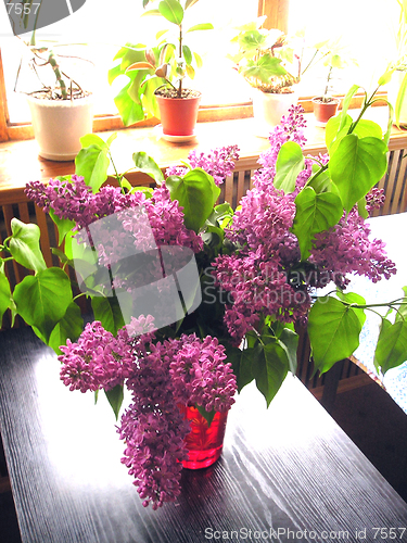 Image of lilac in a vase