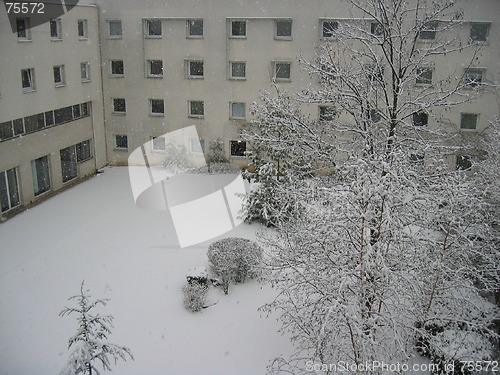 Image of Snow falling