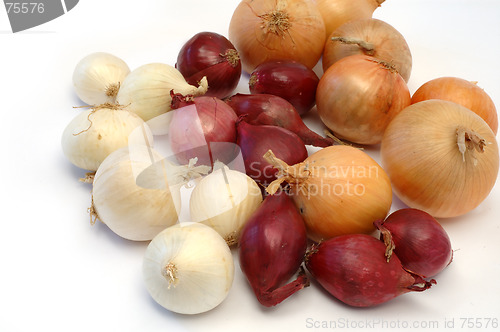 Image of Colorful onion