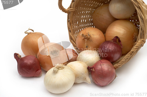 Image of Colorful onion in a basket