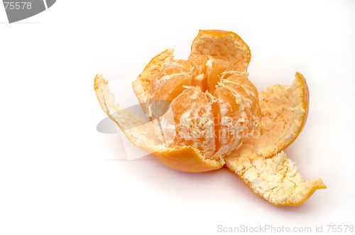 Image of Tangerine