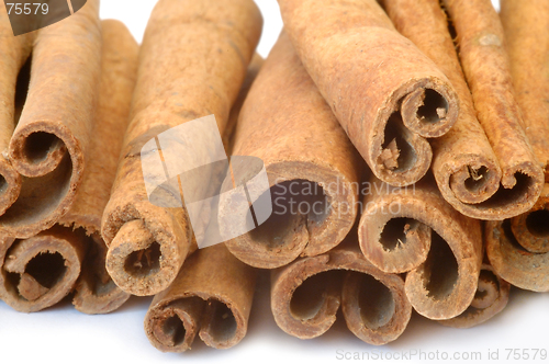 Image of Cinnamon