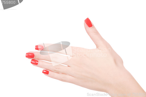 Image of Female hand on a white background