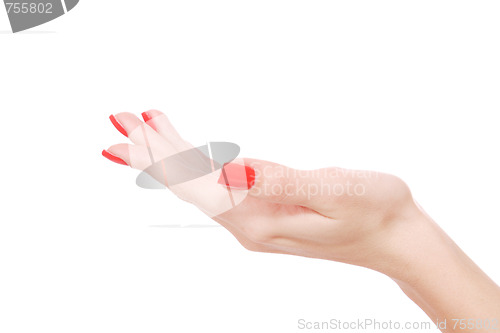 Image of Female hand on a white background