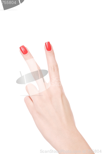 Image of Female hand on a white background