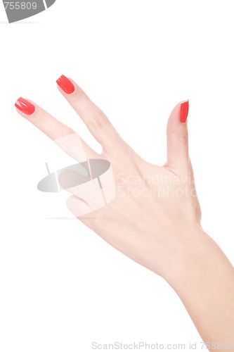 Image of Female hand on a white background