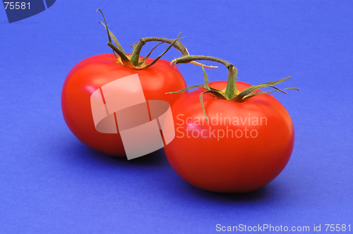 Image of Tomatoes