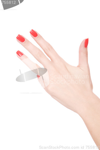 Image of Female hand on a white background