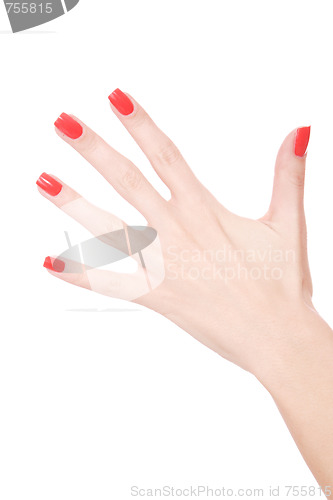 Image of Female hand on a white background