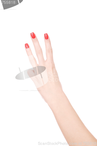 Image of Female hand on a white background