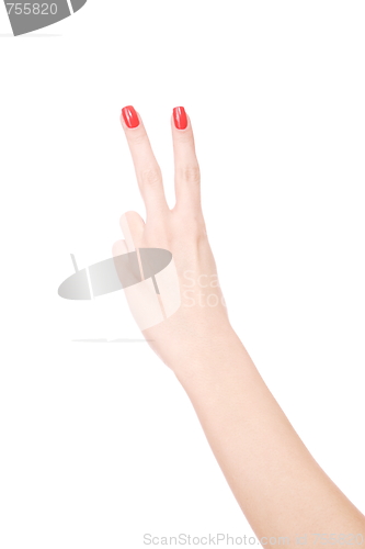 Image of Female hand on a white background