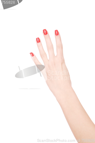 Image of Female hand on a white background