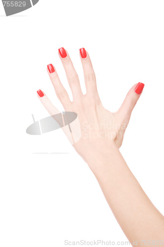 Image of Female hand on a white background