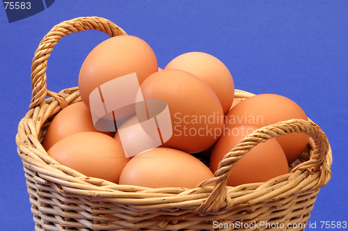 Image of Eggs in a basket