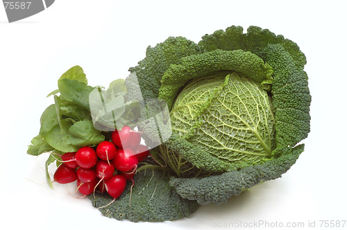 Image of Cabbage and radish