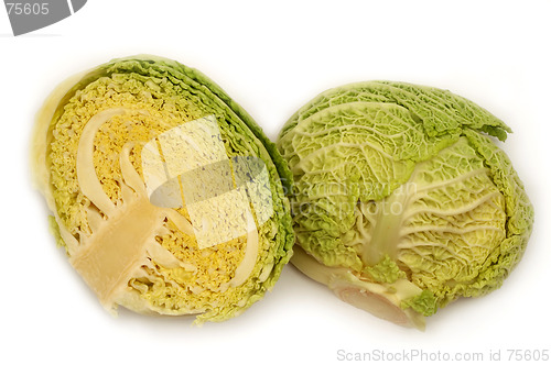 Image of Cabbage