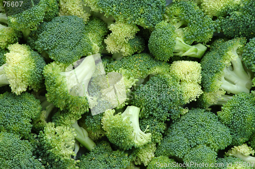 Image of Broccoli