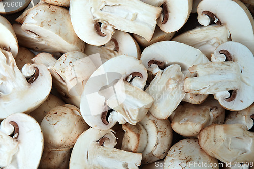 Image of Mushroom