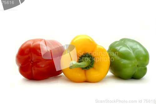 Image of Colorful papriks