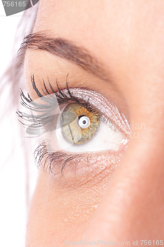 Image of Beautiful woman eyes