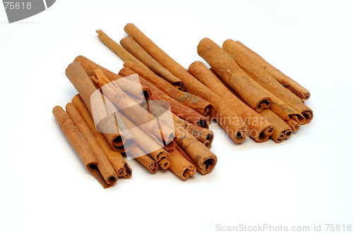 Image of Cinnamon