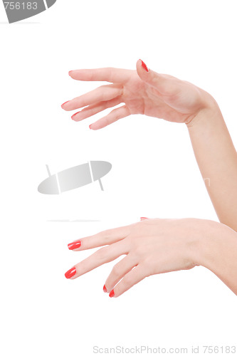 Image of Beautiful female hands