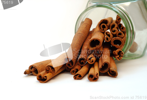 Image of Cinnamon