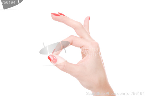 Image of Female hand on a white background