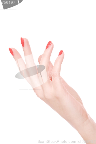 Image of Female hand on a white background