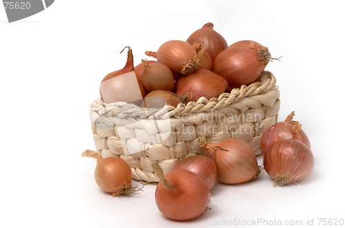 Image of Onion in the basket