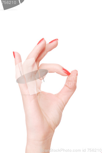 Image of Female hand on a white background