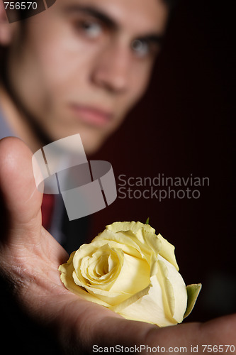Image of  Young happy smiling handsome man with rose