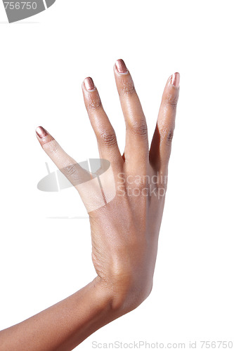 Image of Elegant female hand