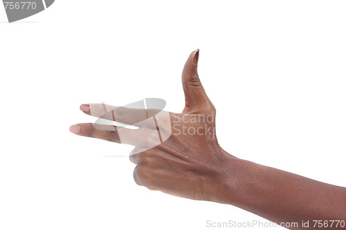 Image of Elegant female hand