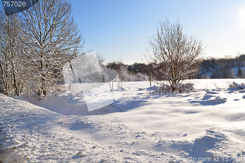 Image of Winter