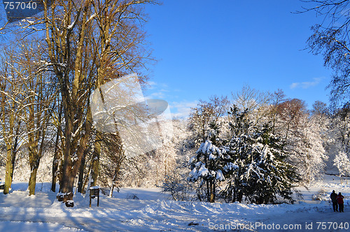Image of Winter