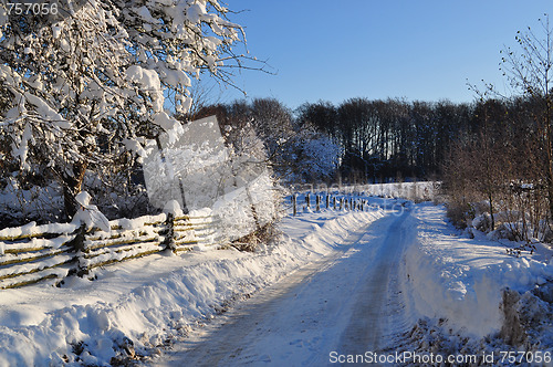 Image of Winter