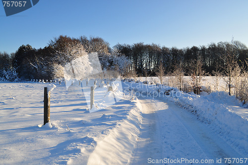 Image of Winter