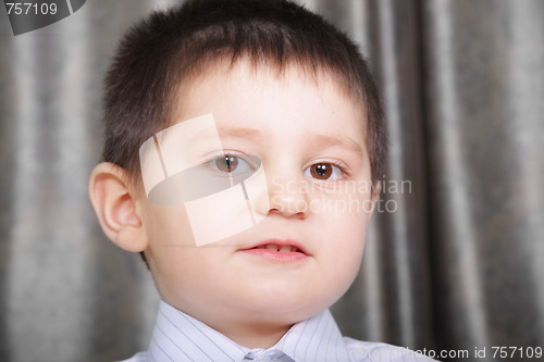 Image of Little brunette boy