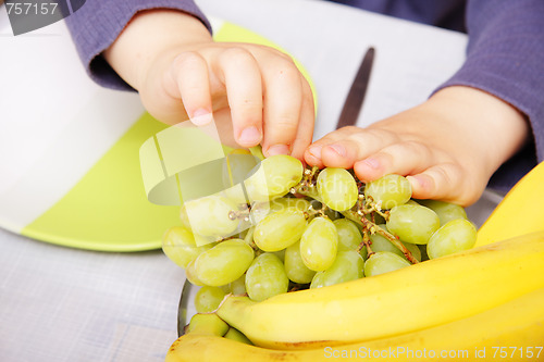 Image of Child hands pinching grapes