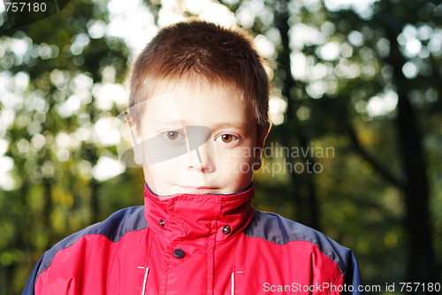 Image of Boy in dark forest