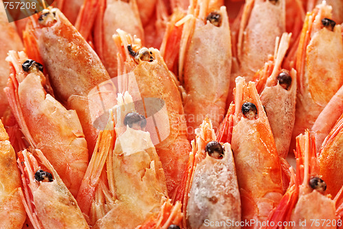 Image of Shrimp background
