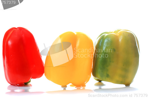 Image of Three colored reflecting paprika