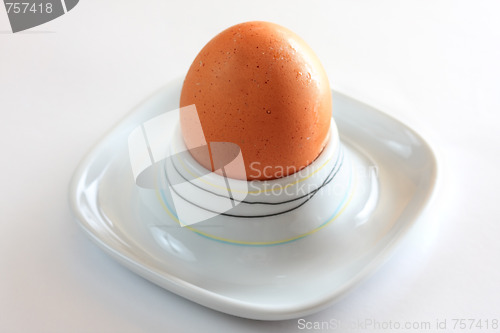 Image of Egg for breakfast